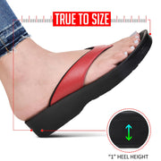 Aerothotic - Flumen Comfortable Arch Support Thong Sandals for Women
